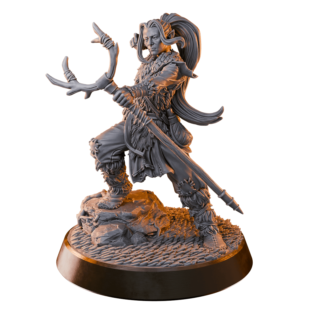 Champions of the Realms - Heroes Collection - Image 8