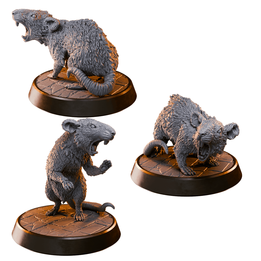 Whisker, Claw and Gnaw Giant Rats - Terror in the Sewers - Image 3